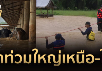 ที่สุดแห่งปี 2567 อุทกภัยใหญ่เหนือสุดยันใต้สุด ฤดูหนาวมาพร้อมน้ำท่วม