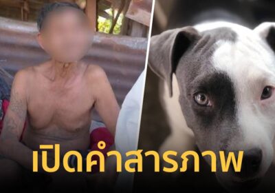 ตาวัย 69 ปี ไม่สะทกสะท้าน ยอมรับ เชือดคอฆ่าหมาจริง