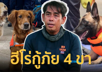 ฮีโร่ 4 ขา เจ้าหมา K9 ความฉลาดจากสัญชาตญาณ ช่วยค้นหาคนให้รอดชีวิต