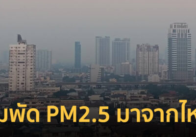 ลมพัด PM2.5 เข้ากรุงเทพฯ มาจากที่ไหน คนไทยตายผ่อนส่งทุกวันเพราะฝุ่นพิษ