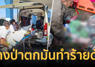 เศร้า! ชาวบ้านโดนช้างป่าเขาใหญ่ตกมันทำร้ายเสียชีวิตแล้ว
