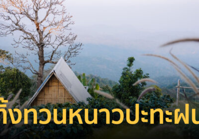 พยากรณ์อากาศ ลมหนาวมาเยือนอีกรอบ กทม.ปริมณฑลอากาศเย็นปะทะฝน