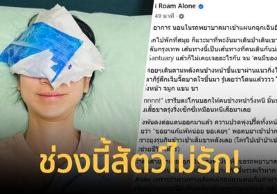 “มิ้นท์ I Roam Alone” อัปเดต นอนรถพยาบาลมาเข้าแผนกฉุกเฉินอีกแล้ว