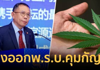 เริ่มค้าน! “ศุภชัย” โพสต์ “ภูมิใจไทย” เรียกร้องออก พ.ร.บ.ควบคุมกัญชา