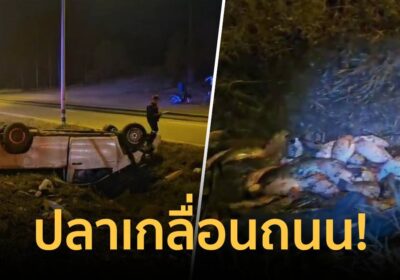 กระบะบรรทุกปลา 1,000 กก.พลิกคว่ำ เกลื่อนถนนสายลำปาง-แพร่
