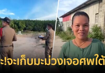 ผงะเก็บมะม่วงเจอศพใต้ต้น มีแผลฉกรรจ์ที่แขน ตำรวจเร่งคลี่คลายคดี