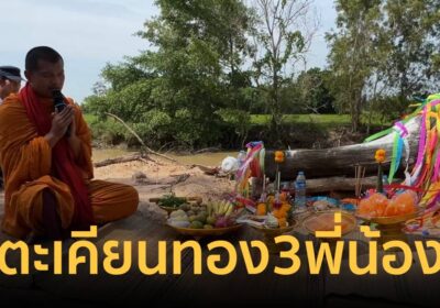ฮือฮา! อัญเชิญตะเคียนทอง 3 พี่น้อง ไปไว้ที่วัด ชาวบ้านแห่ส่องทะเบียน