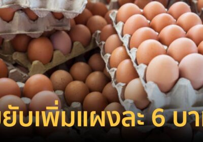 เครือข่ายสหกรณ์ฯ ประกาศขึ้นราคาไข่ไก่คละ ขยับเพิ่มแผงละ 6 บาท