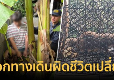 เลือกทางผิด! หนุ่มวัย 22 ค้ายา-ค้าสัตว์ป่าคุ้มครองอ้างหาเงินเรียน