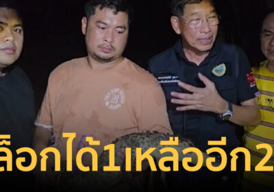 ล็อกตัวแรกได้แล้ว “บิ๊กแจ๊ส” นำทีมไกรทองจับจระเข้ สั่งล่าตัวเบิ้มอีก2