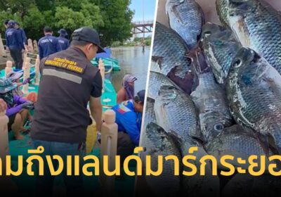 ปลาหมอคางดำ ลามถึงแลนด์มาร์กระยอง! ประมงเร่งจับสกัดส่งเรือนจำ