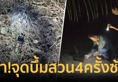 ชาวสามโคกผวา! ชายลึกลับใช้ยากันยุงจุดบึ้มสวนกล้วย 4 ครั้งซ้อน