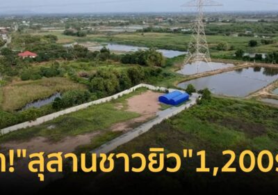 ผวา! “สุสานชาวยิว” 1,200 หลุม ชาวบ้านบางคล้าหวั่นคืนชีพ