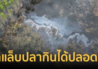 รองผู้ว่าฯปราจีนฯ ยันผลแล็บปลากินปลอดภัย-ชาวบ้านโวยน้ำดำจี้ปิดโรงงาน