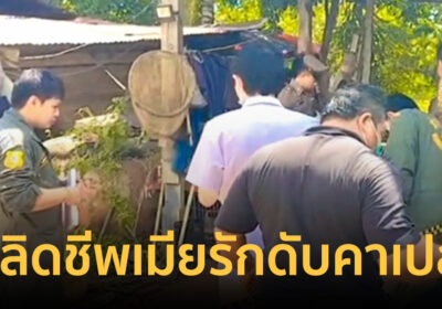 ผัวหึงโหดคว้ามืดปลิดชีพเมียรักดับคาเปล ก่อนเดินมาบอกพ่อตาช่วยด้วย